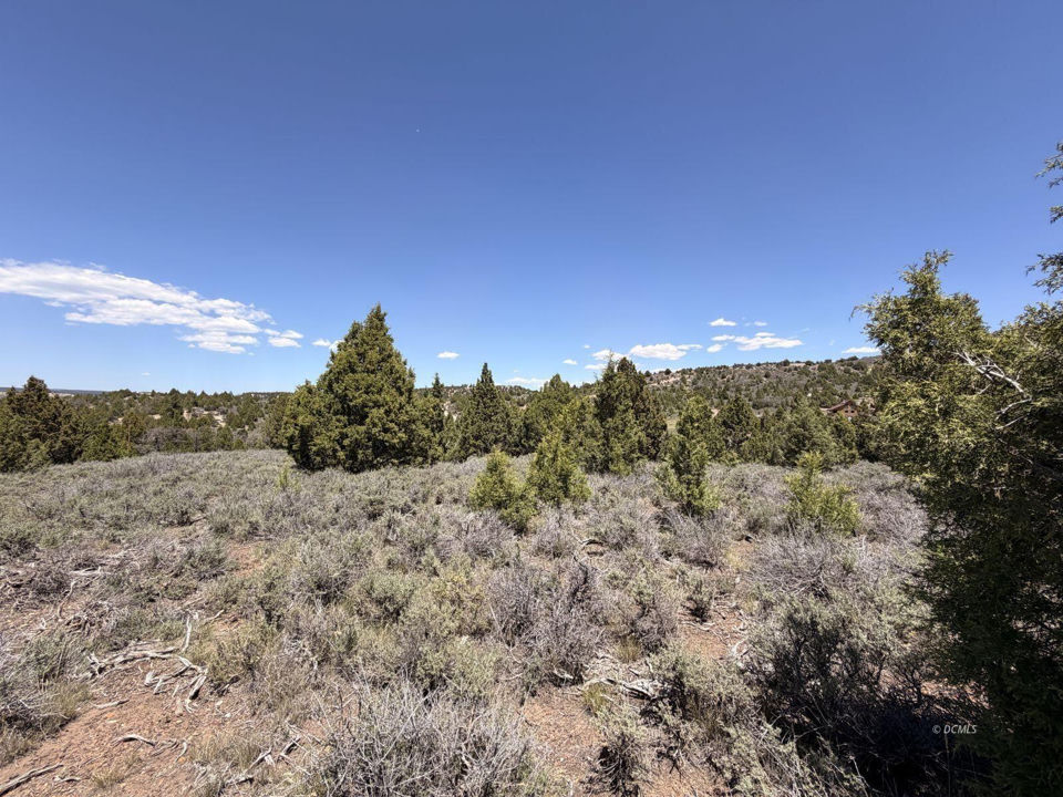 40 Ouray CIR, Alton