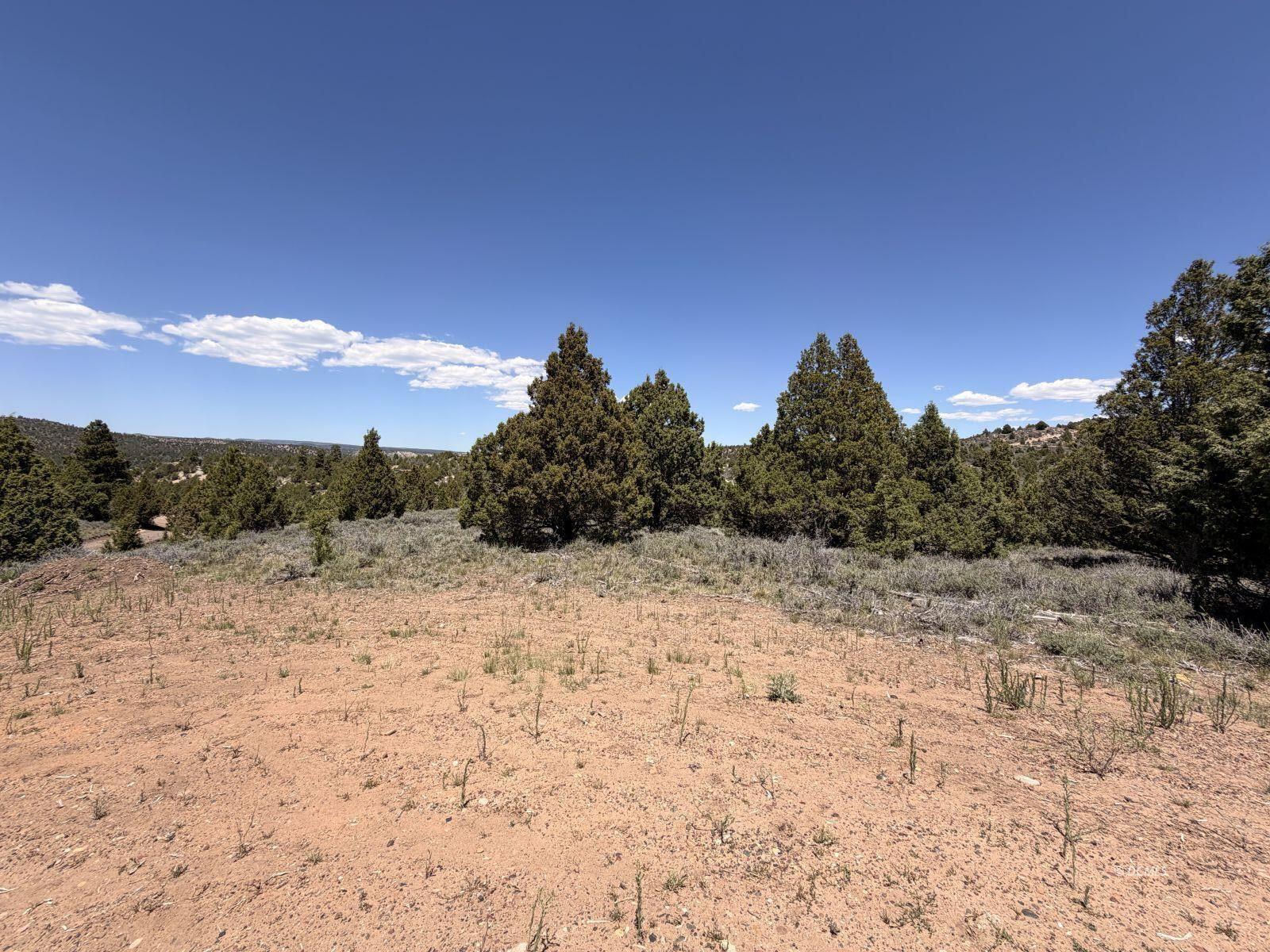 40 Ouray CIR, Alton, photo 8 of 10