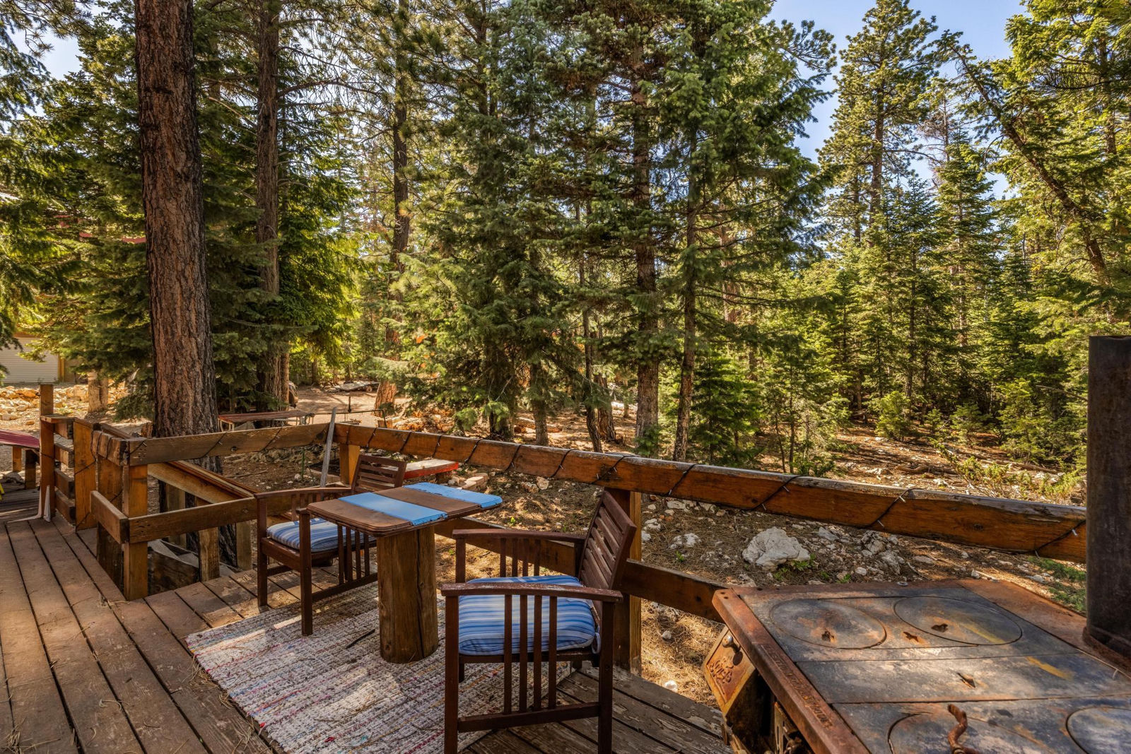 305 Quaking Aspen DR, Duck Creek Village, photo 16 of 22