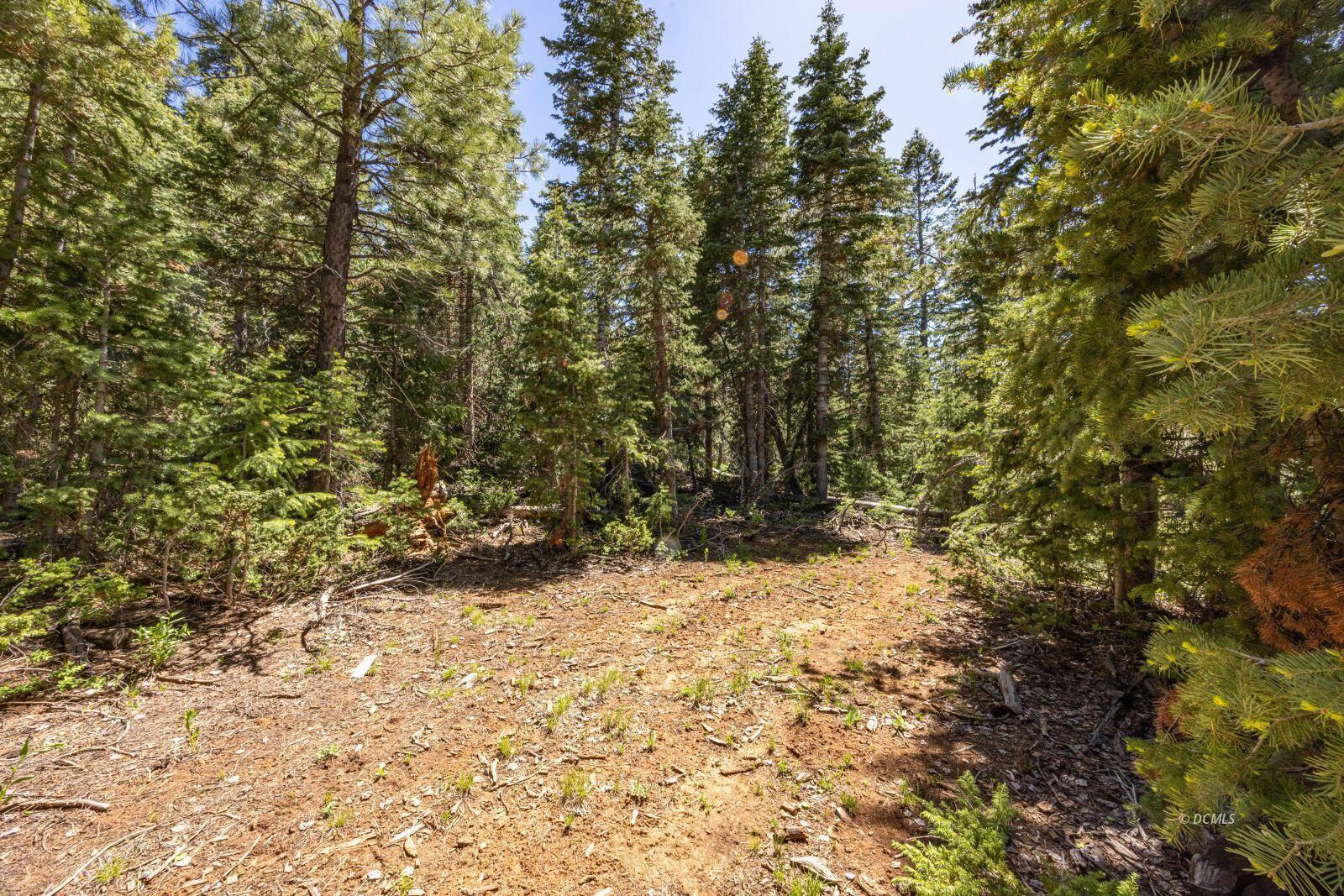1365 W Twisted Trail, Duck Creek Village, photo 1
