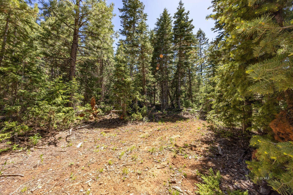 1365 W Twisted Trail, Duck Creek Village