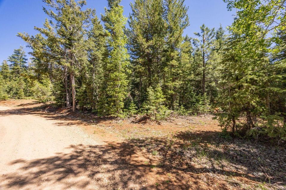 1365 W Twisted Trail, Duck Creek Village, photo 2