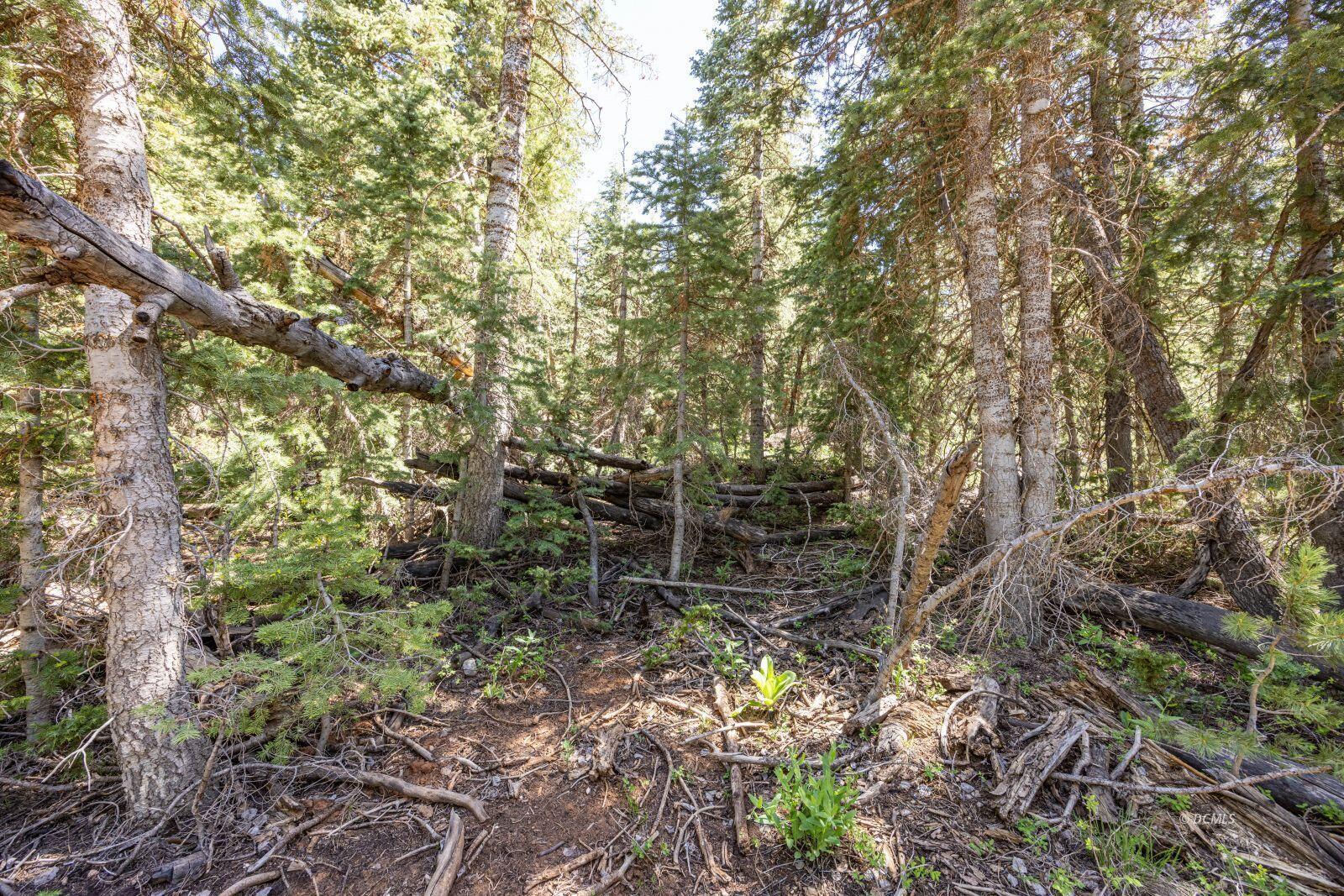 1365 W Twisted Trail, Duck Creek Village, photo 3 of 9