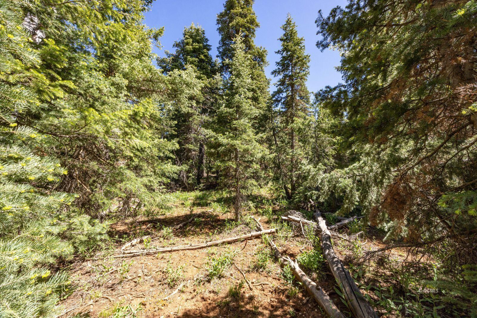 1365 W Twisted Trail, Duck Creek Village, photo 4 of 9