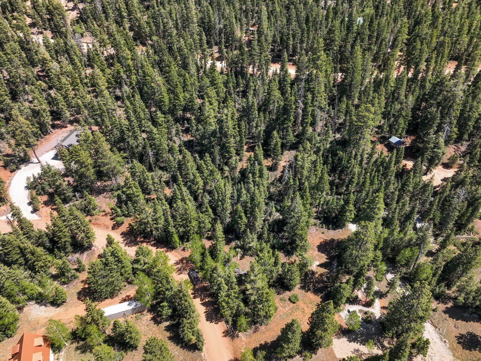 1365 W Twisted Trail, Duck Creek Village, photo 5 of 9