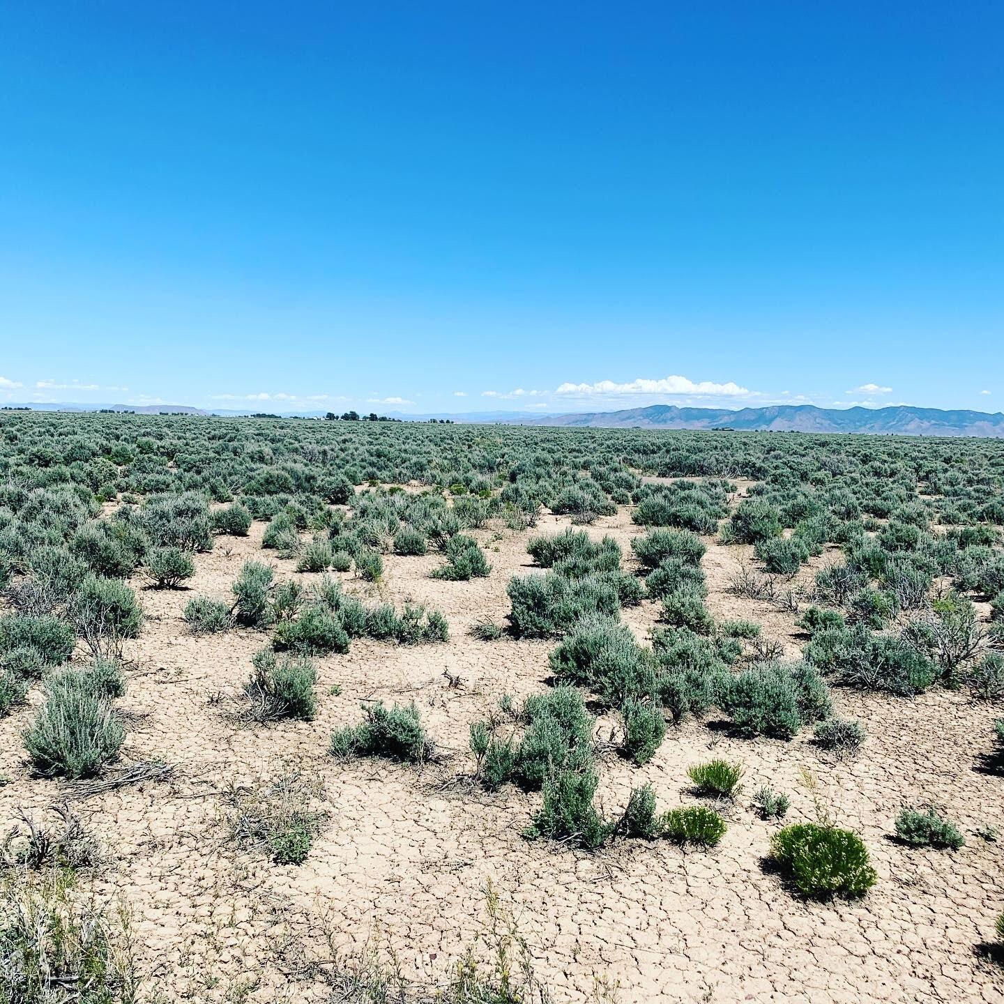 120 Acres with 1 AF Water Right W, Beryl, photo 6 of 14