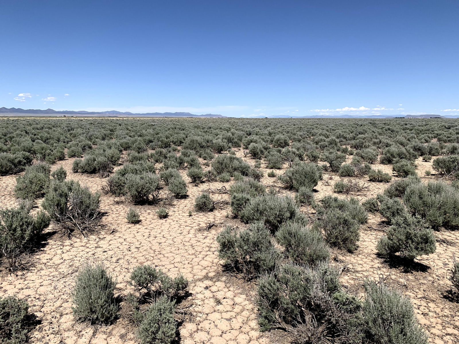 120 Acres with 1 AF Water Right W, Beryl, photo 1