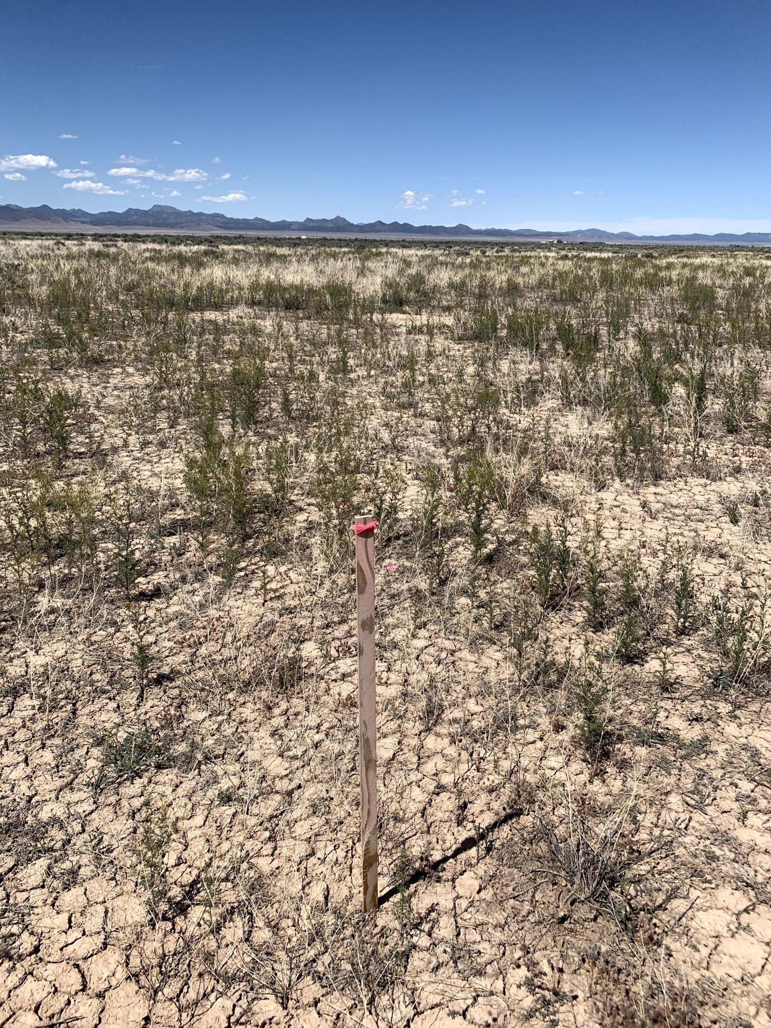 120 Acres with 1 AF Water Right W, Beryl, photo 13 of 14