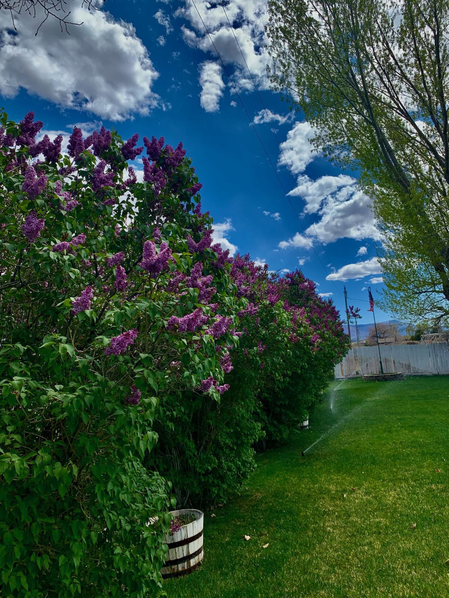 3302 N 2500 W W, Cedar City, photo 47 of 55