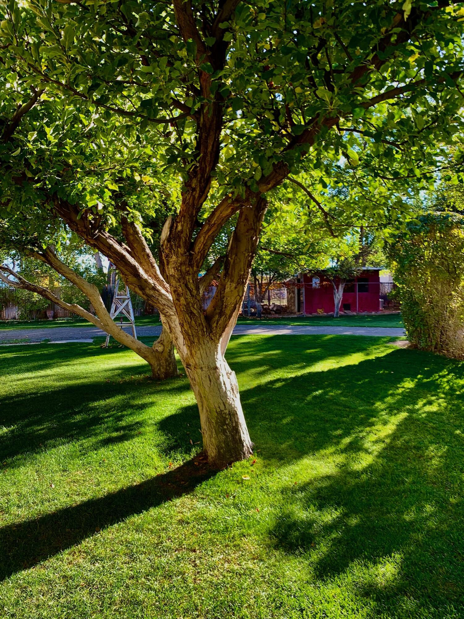 3302 N 2500 W W, Cedar City, photo 52 of 55