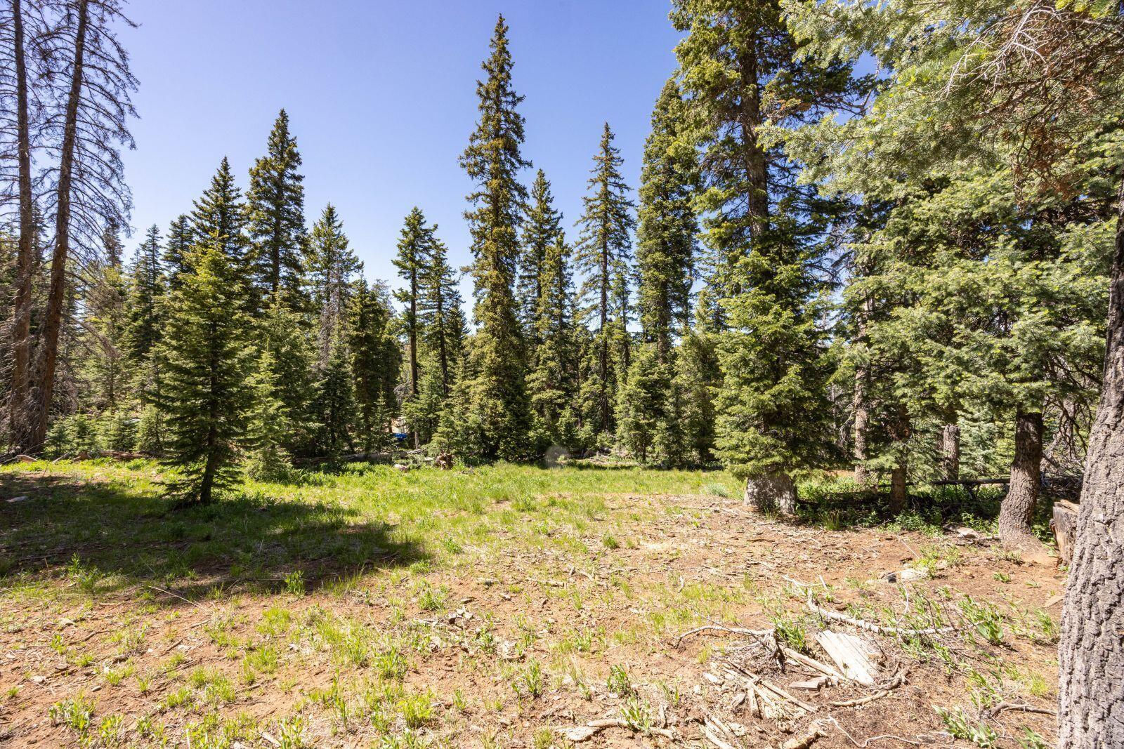 970 W Shale CIR, Duck Creek Village, photo 1
