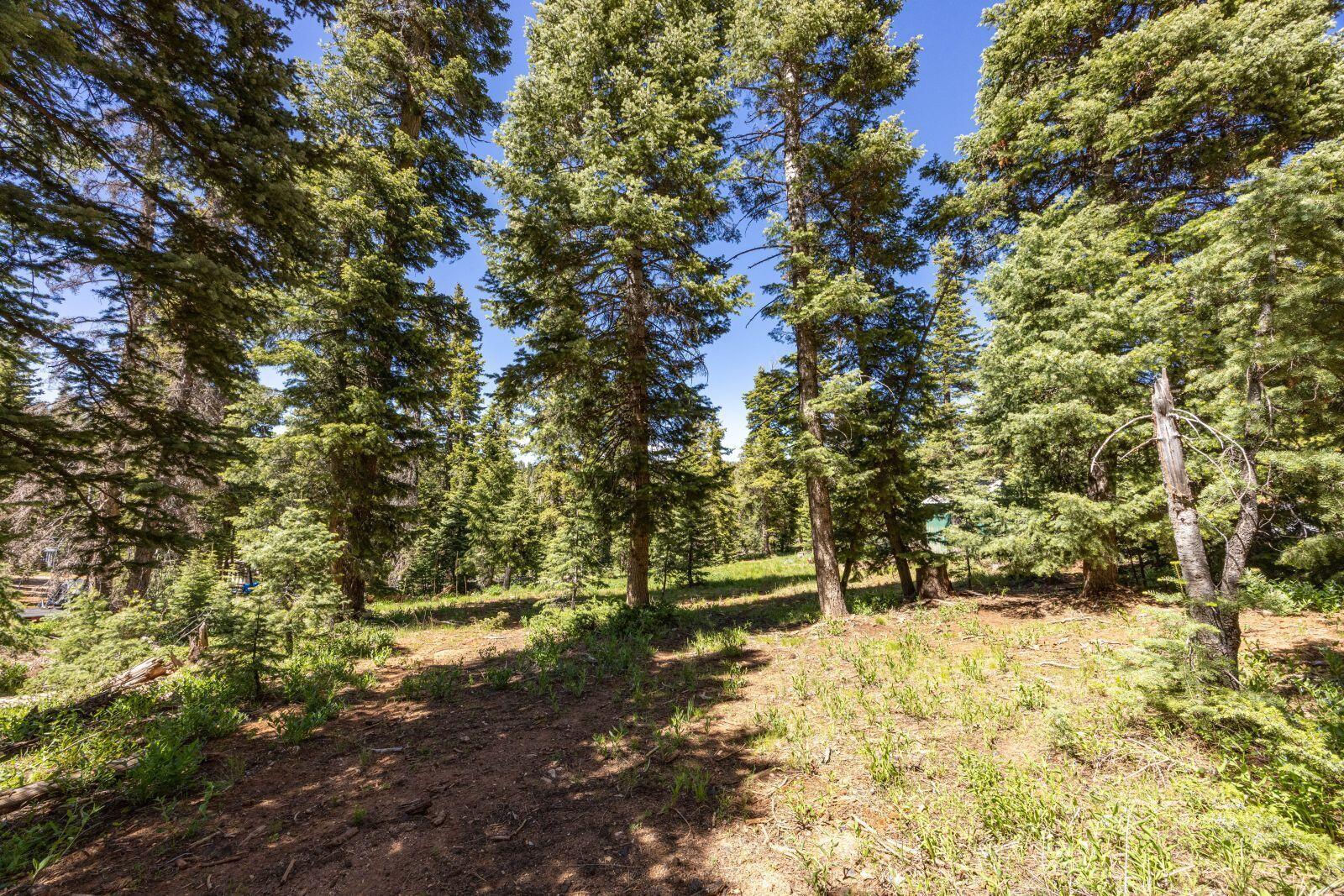 970 W Shale CIR, Duck Creek Village, photo 3 of 13