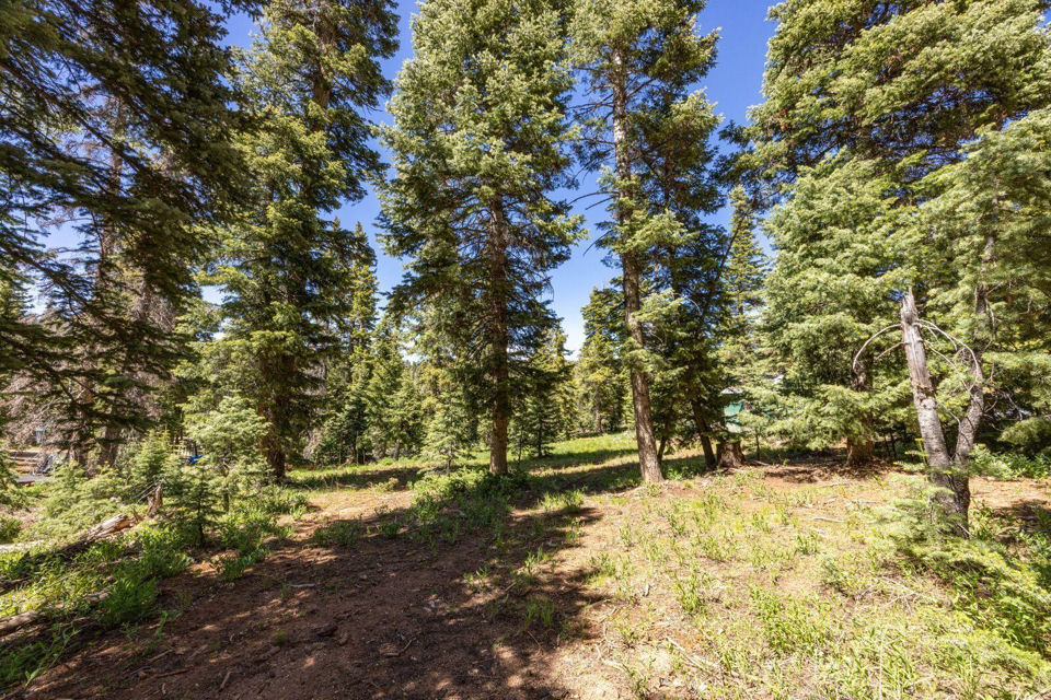 970 W Shale CIR, Duck Creek Village, photo 3