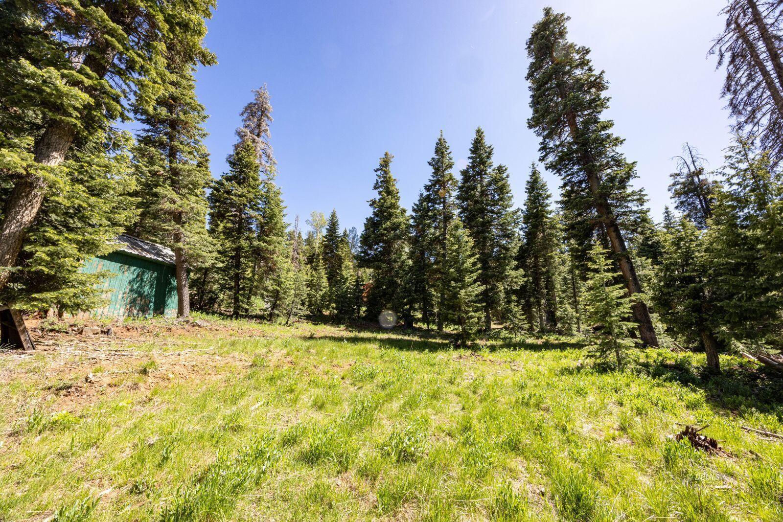 970 W Shale CIR, Duck Creek Village, photo 6 of 13