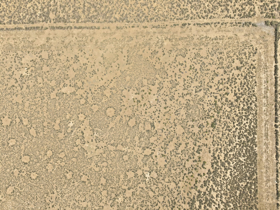 20.22 Acres Center St, Enterprise, photo 2