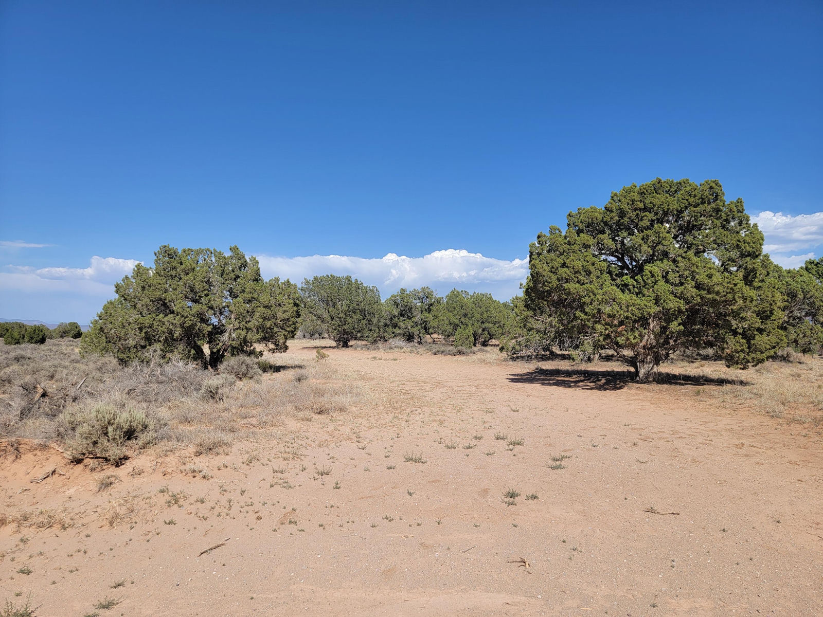 5572 N 4500 W, Cedar City, photo 8 of 26