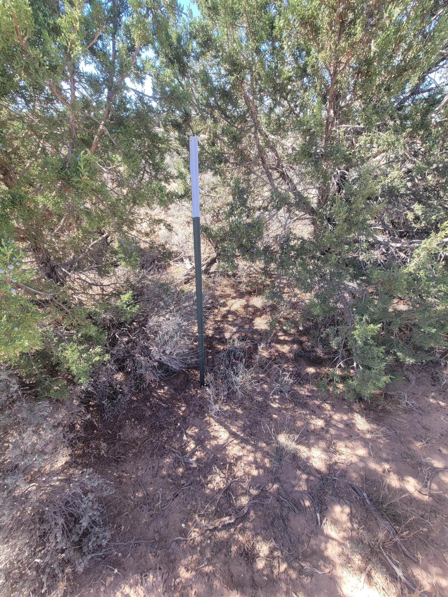 5572 N 4500 W, Cedar City, photo 20 of 26