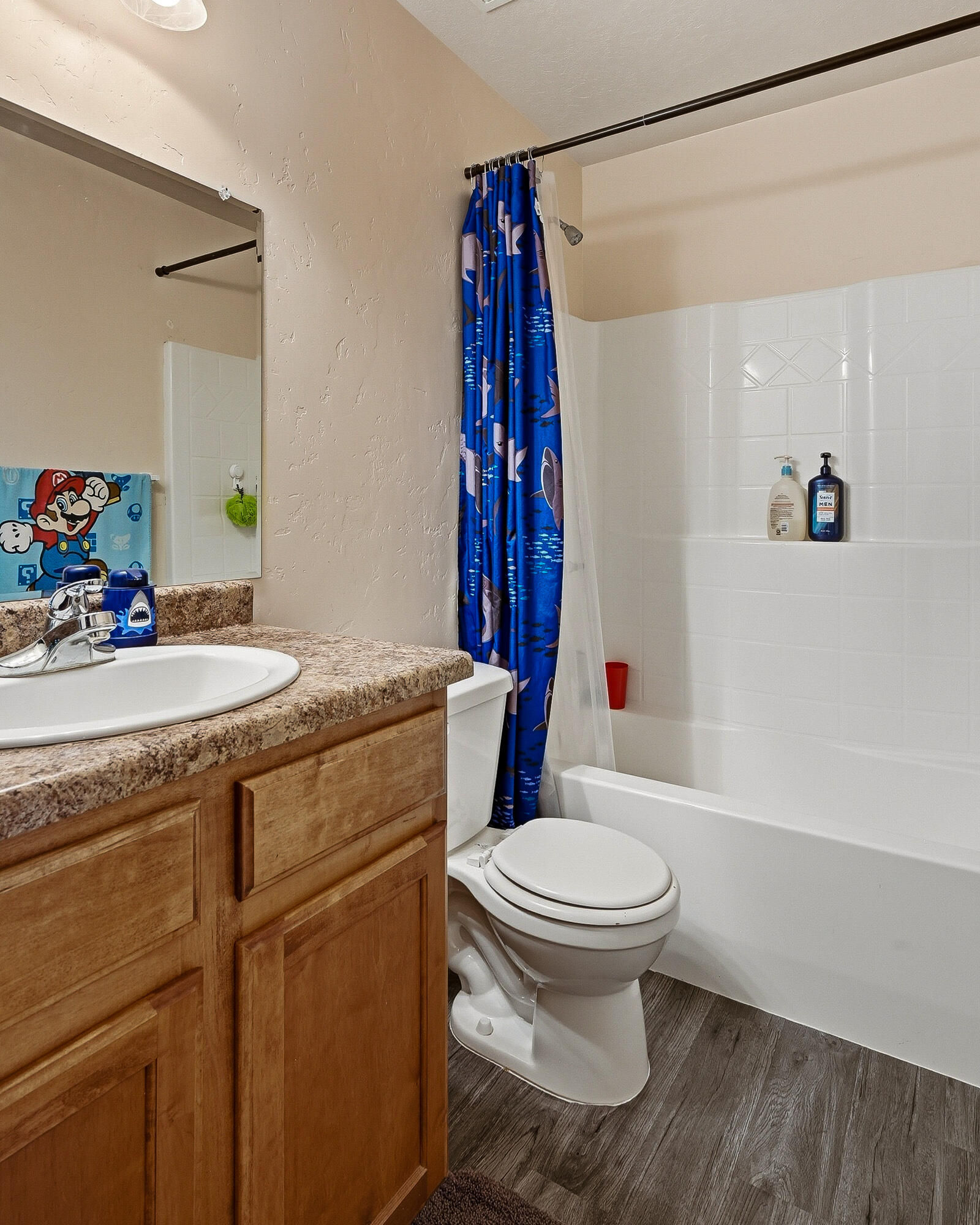 591-593 E Nichols Canyon Road, + RV Garage, Cedar City, photo 45 of 54