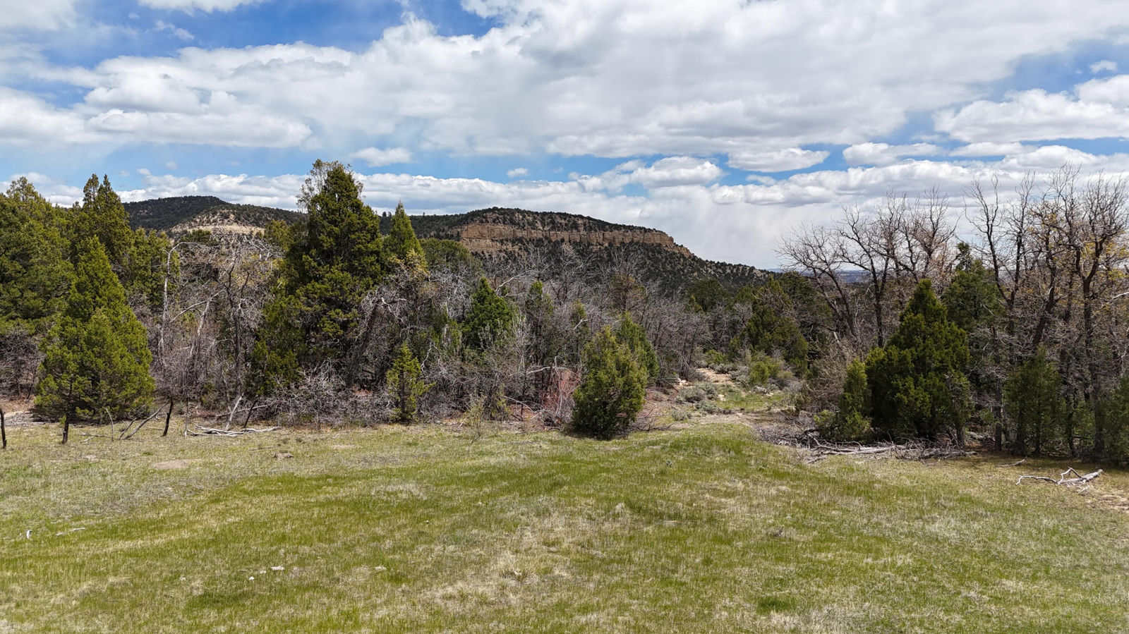 2090 County Road Lot 1, Mount Carmel, photo 13 of 18