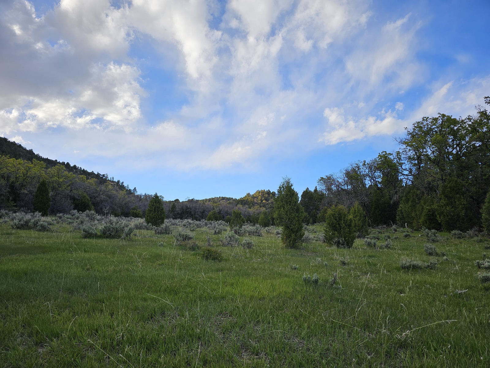 2090 County Road Lot 1, Mount Carmel, photo 4 of 18