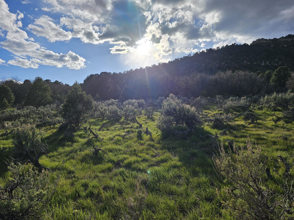 2090 County Road Lot 1, Mount Carmel, photo 3