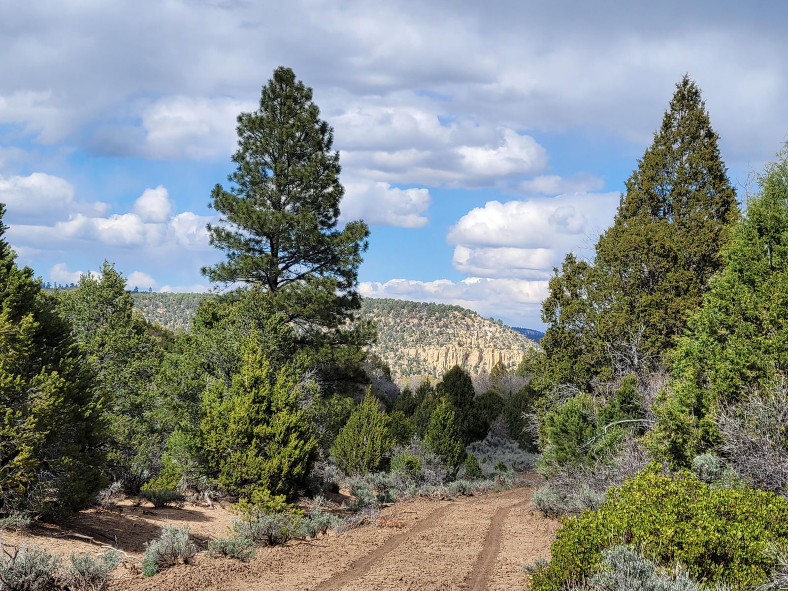 2090 County Road Lot 1, Mount Carmel, photo 5 of 18