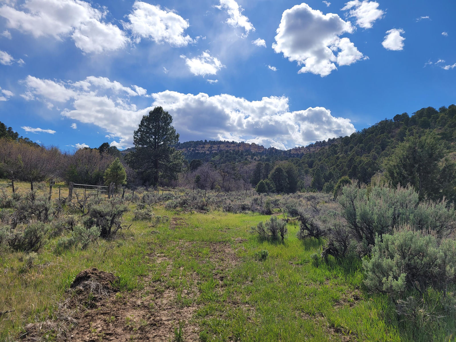 2090 County Road Lot 1, Mount Carmel, photo 7 of 18