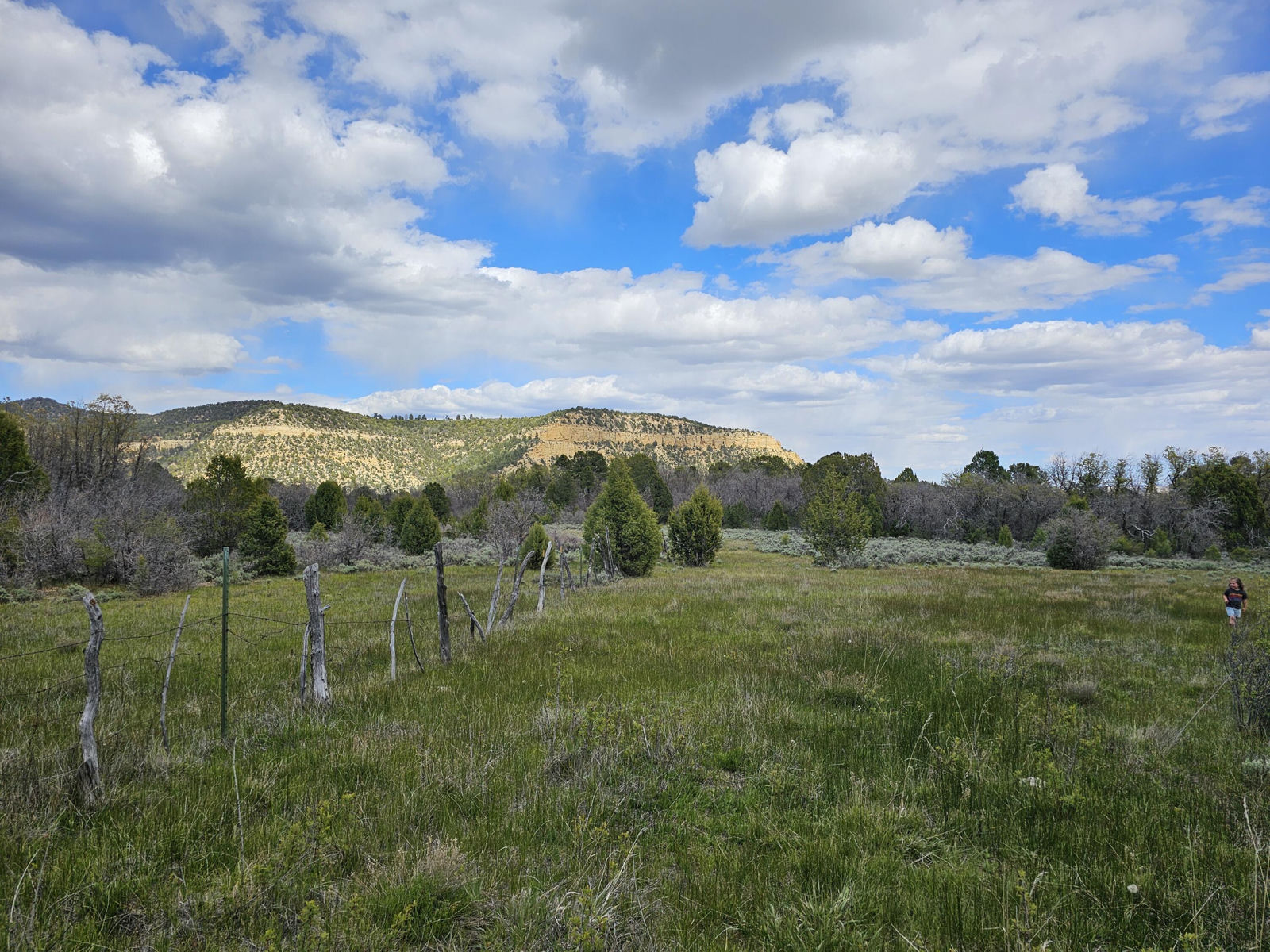2090 County Road Lot 1, Mount Carmel, photo 6 of 18