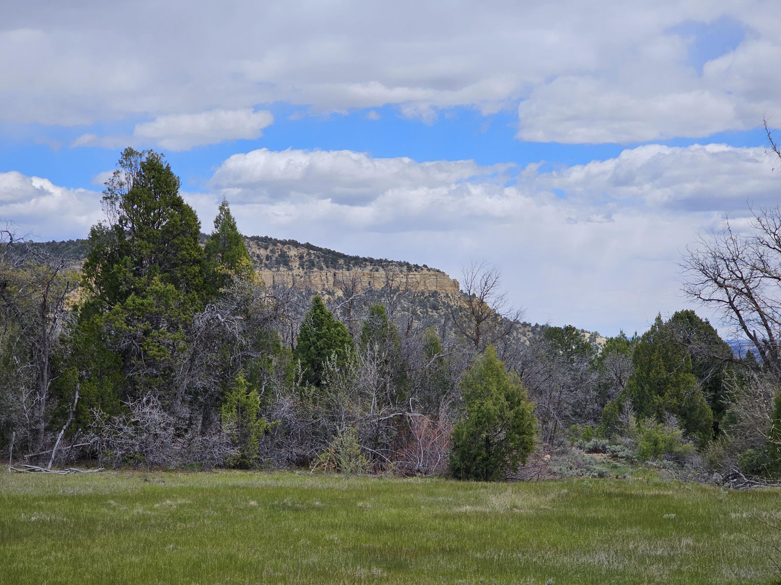 2090 County Road Lot 1, Mount Carmel, photo 10 of 18