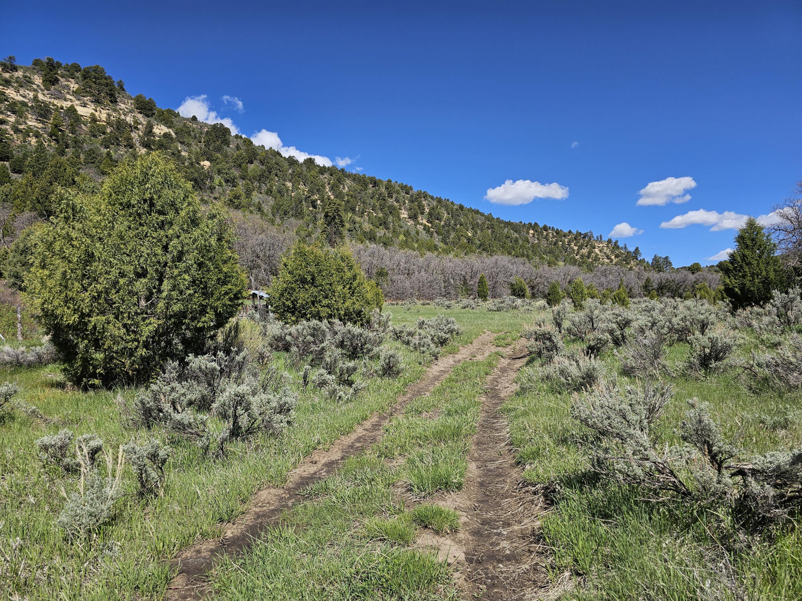 2090 County Road Lot 1, Mount Carmel, photo 12 of 18