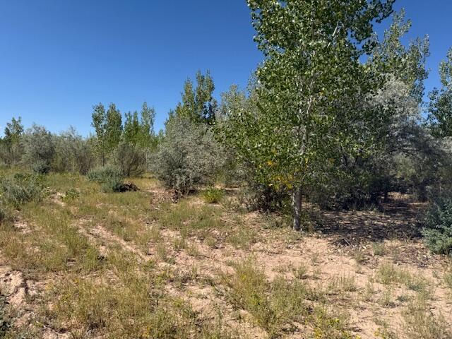 6292 N 1600 W, Enoch Valley Acres, Cedar City, photo 3