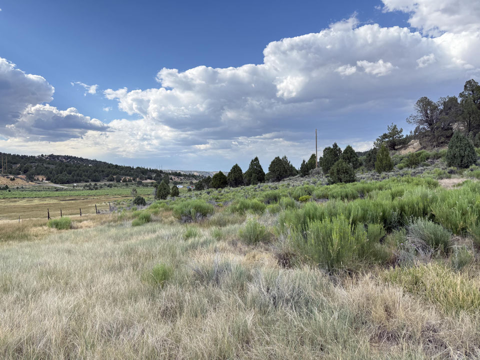 Chippewa DR, Duck Creek Village, photo 3