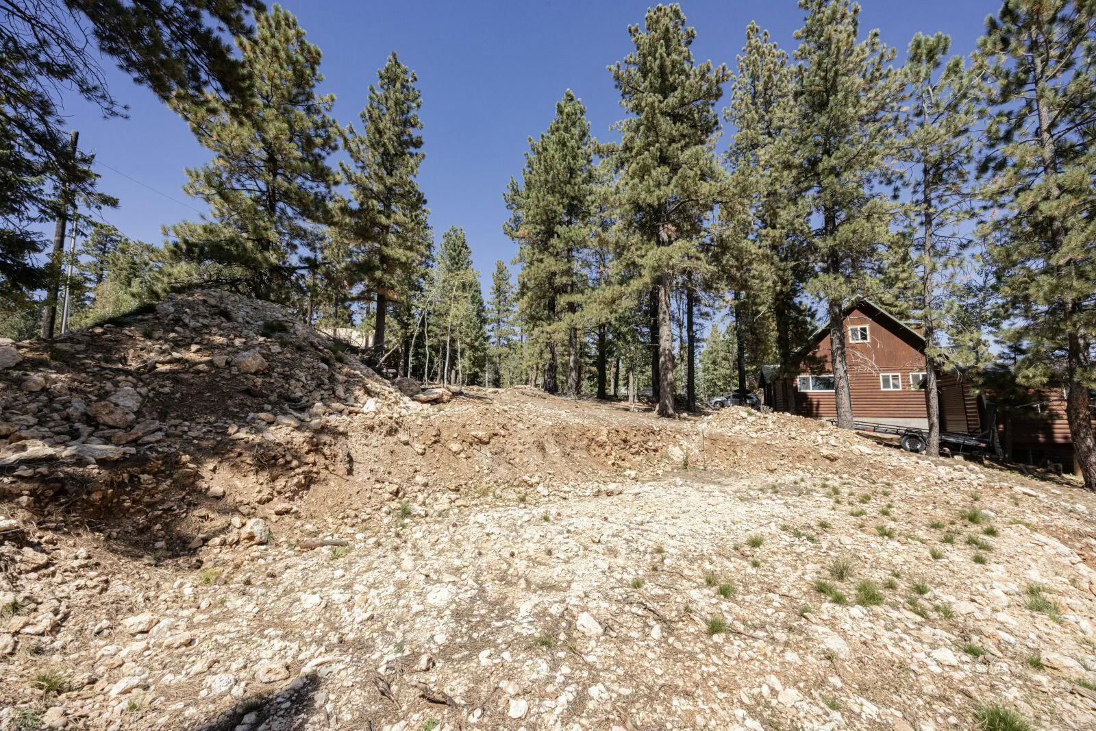 910 E Ridge DR, Duck Creek Village, photo 7 of 15