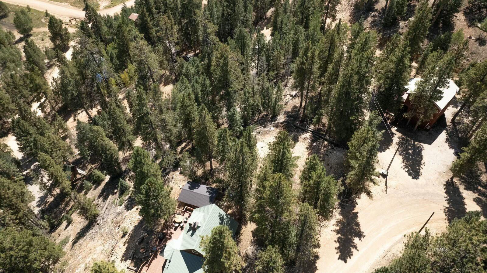 910 E Ridge DR, Duck Creek Village, photo 8 of 15
