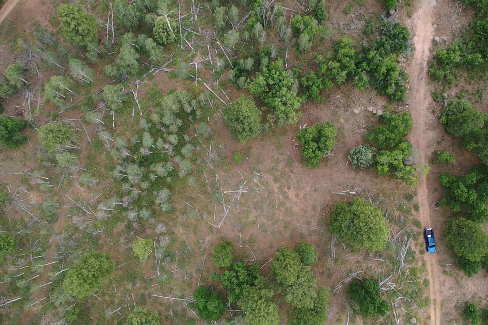 Minor Lot Addition to Trossach Lot Est, Next to Lot 23, Cedar City, photo 14 of 23