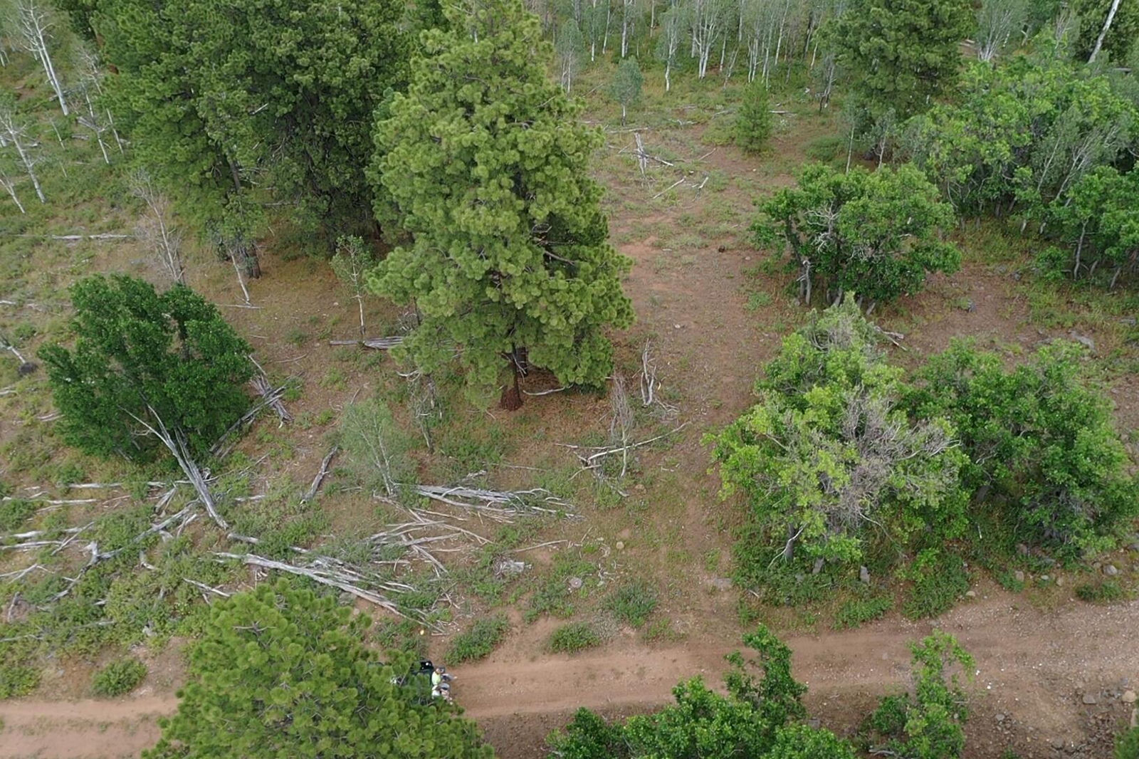 Minor Lot Addition to Trossach Lot Est, Next to Lot 23, Cedar City, photo 19 of 23