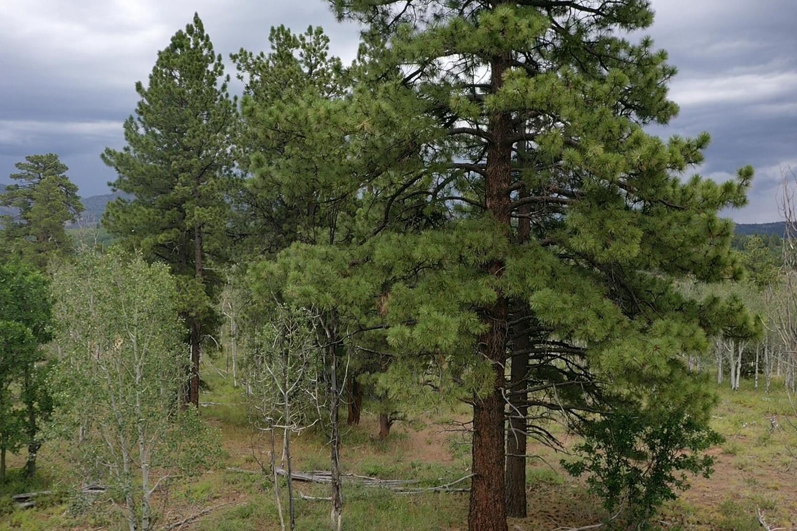 Minor Lot Addition to Trossach Lot Est, Next to Lot 23, Cedar City, photo 20 of 23
