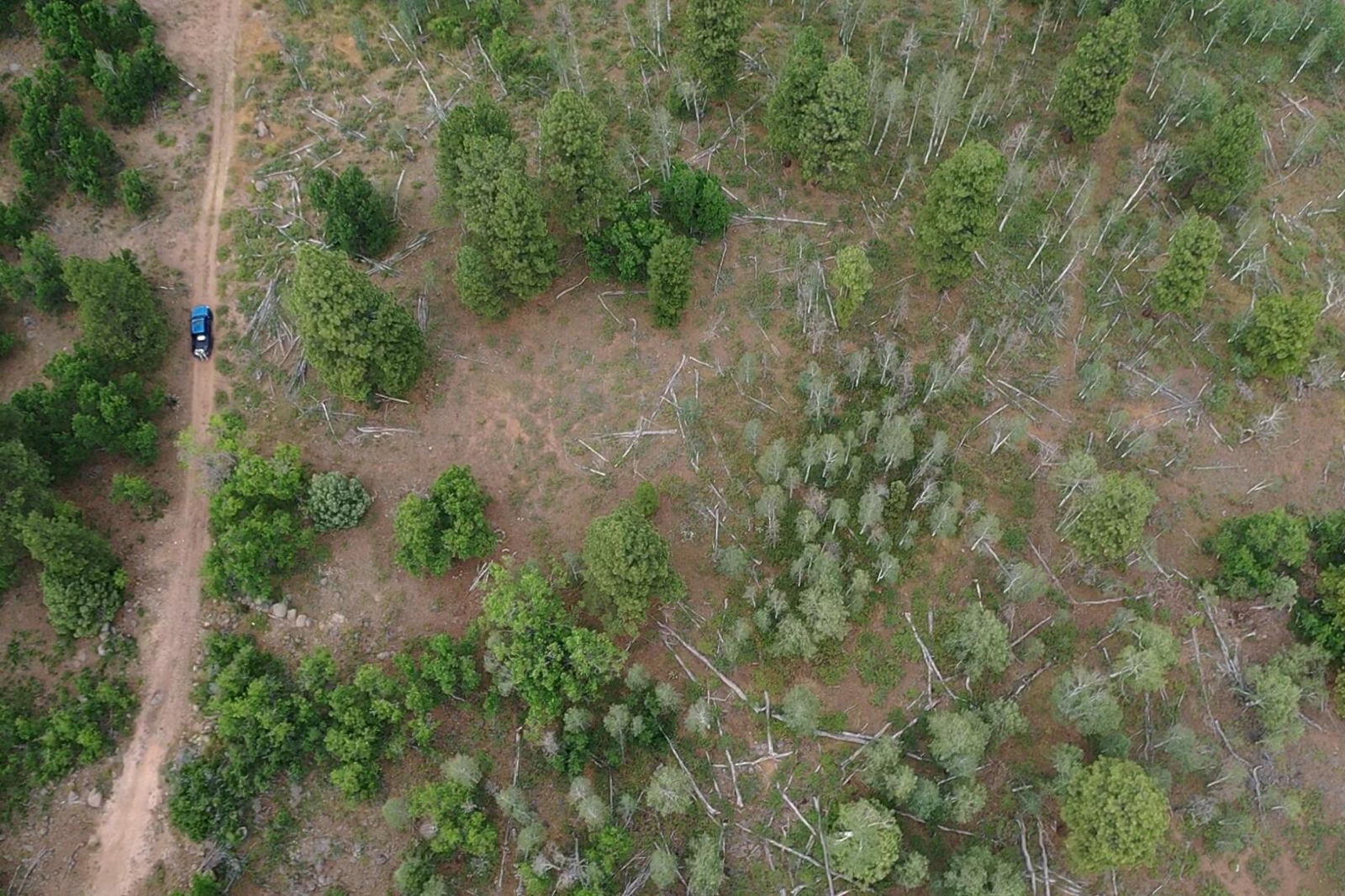 Minor Lot Addition to Trossach Lot Est, Next to Lot 23, Cedar City, photo 21 of 23