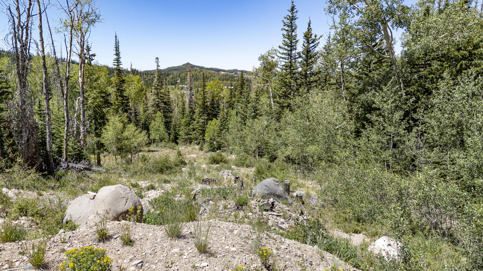 1055 E Paddington CIR, (SEM #60), Brian Head, photo 5 of 15