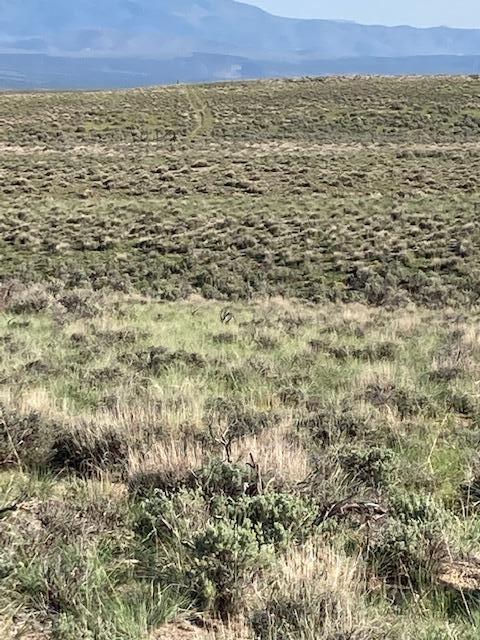 40 Ac Panguitch PC-51-C-6, Panguitch, photo 6 of 15