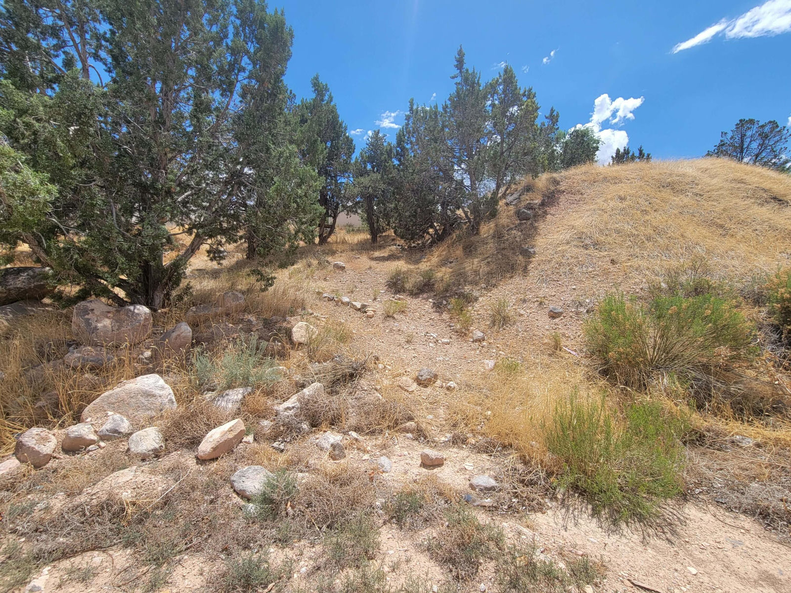 409 S Casa Loma LN, Cedar City, photo 4 of 24