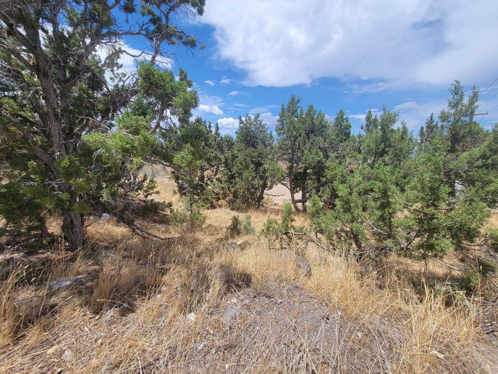 409 S Casa Loma LN, Cedar City, photo 22 of 24
