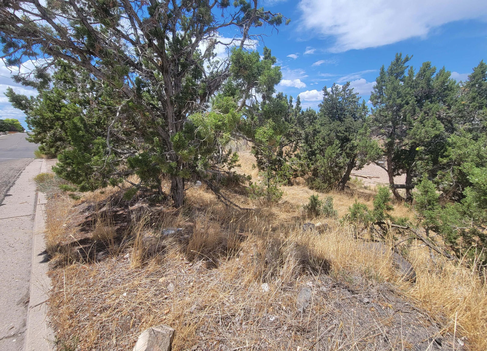 409 S Casa Loma LN, Cedar City, photo 23 of 24
