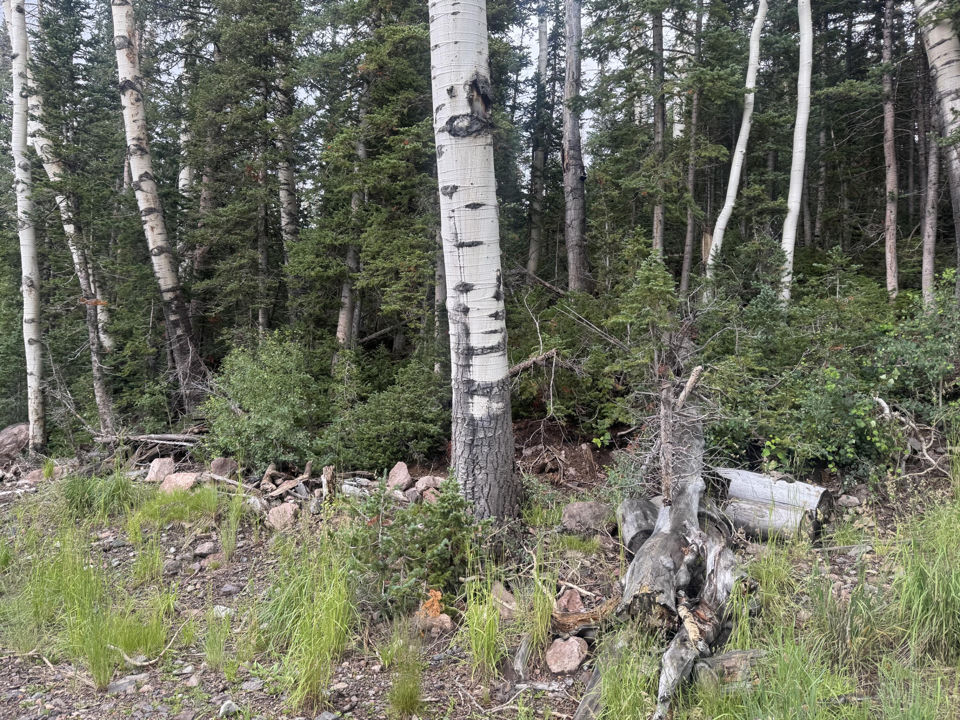 398 N Scenic DR, CBME unit A lot 28, Brian Head, photo 2