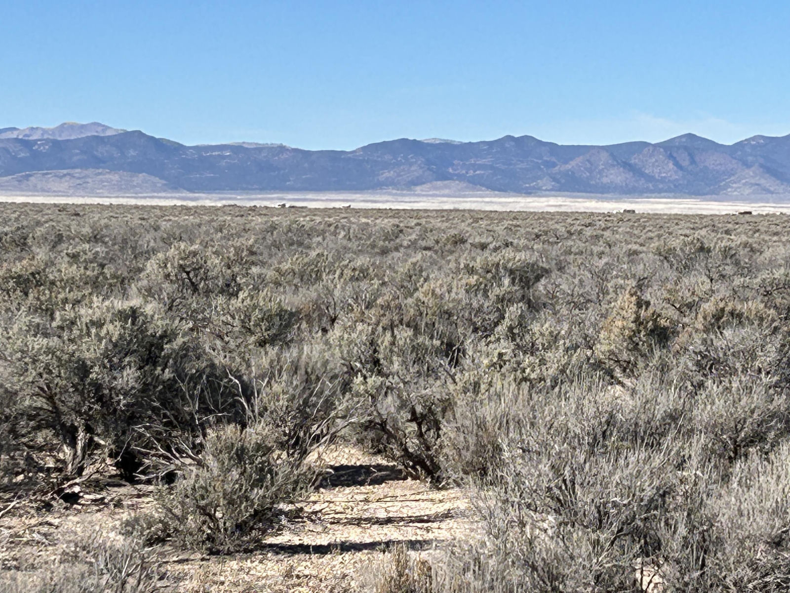 2700 W 4700 N, Beryl, photo 17 of 26