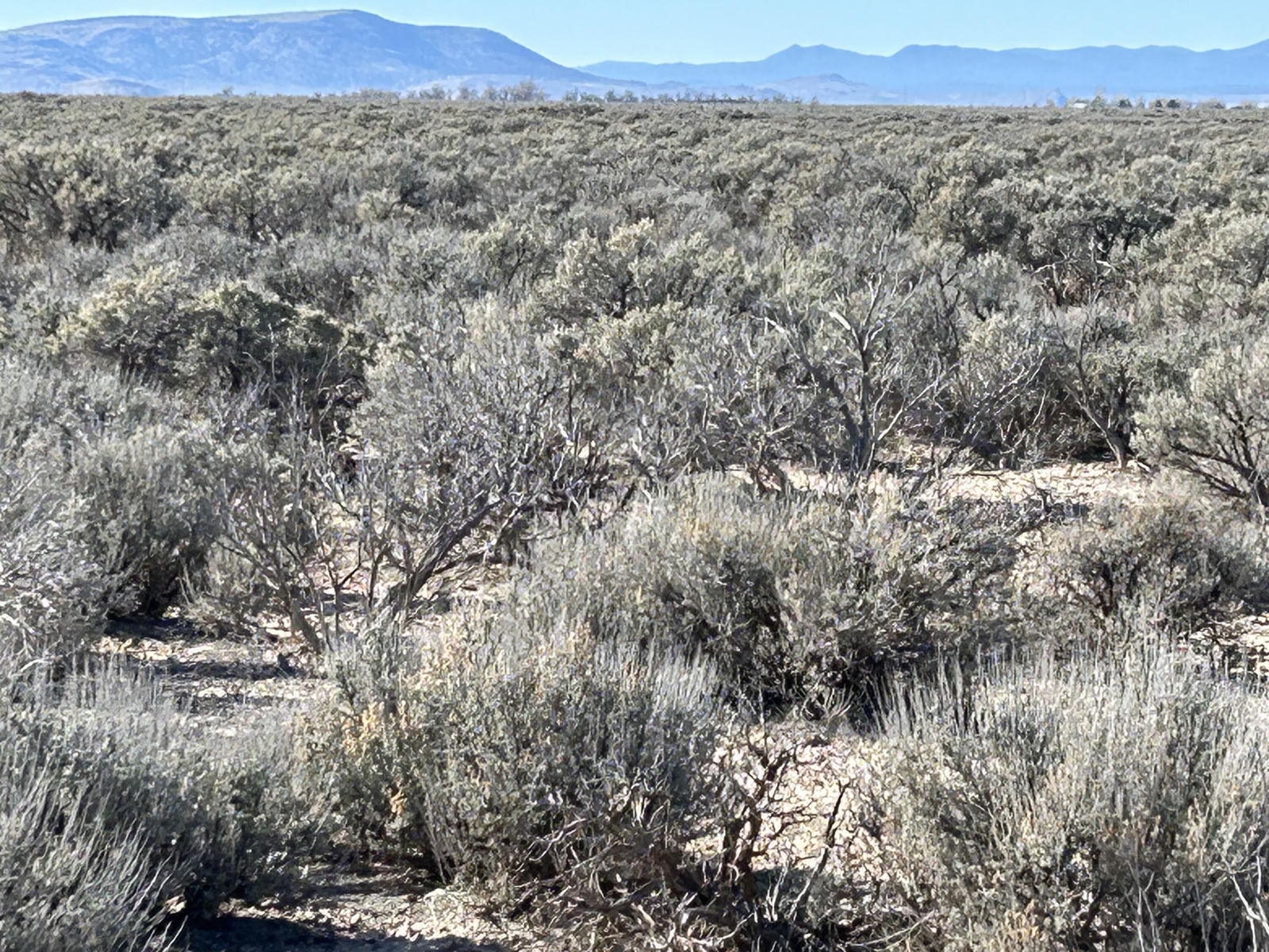 2700 W 4700 N, Beryl, photo 21 of 26