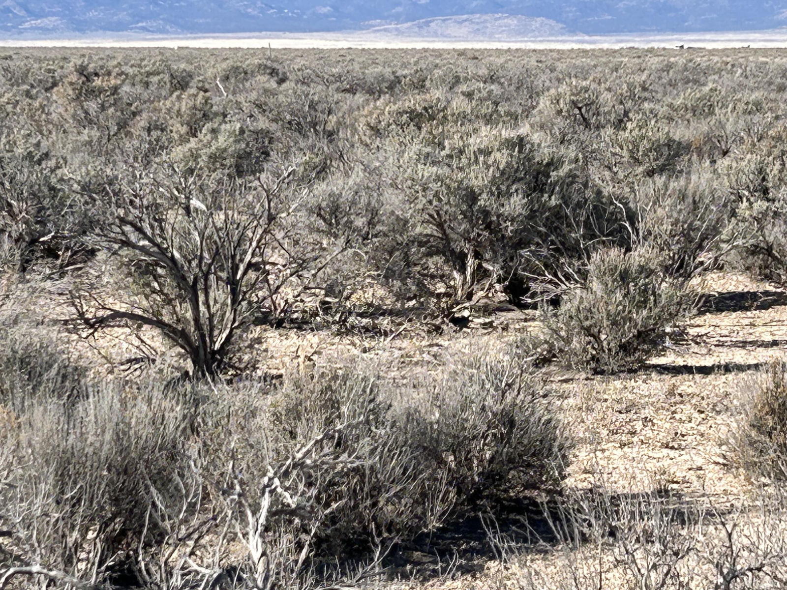 2700 W 4700 N, Beryl, photo 22 of 26