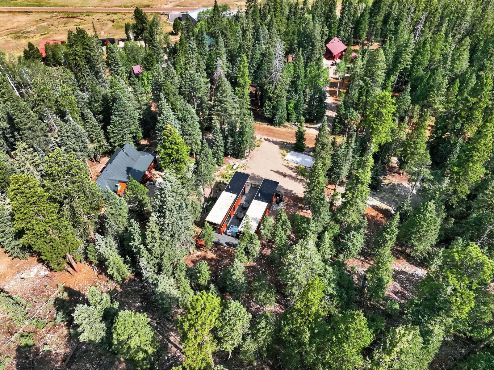 1710 Ponderosa View LP, Duck Creek Village, photo 43 of 46
