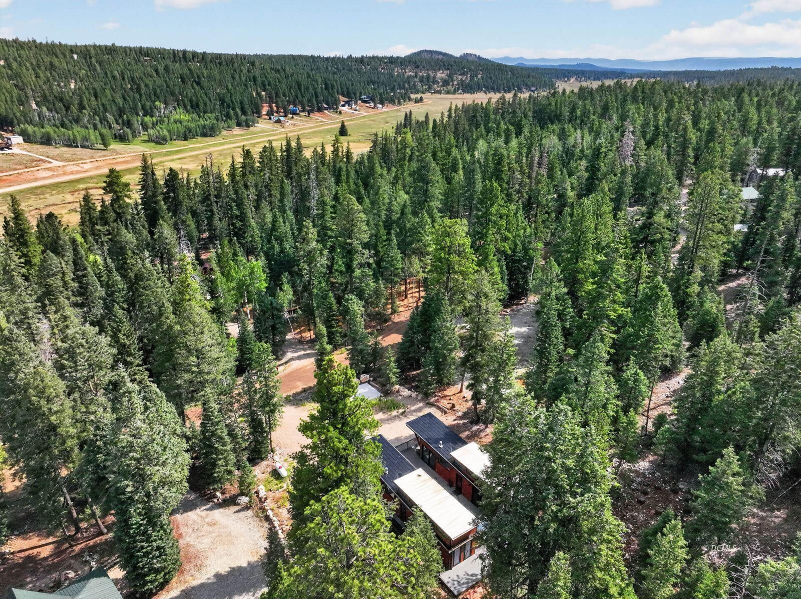 1710 Ponderosa View LP, Duck Creek Village, photo 45 of 46