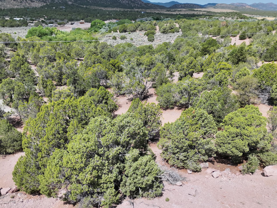 4248 S Artifact DR, Cedar City, photo 2